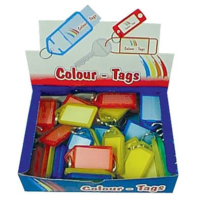 Picture of Budget Plastic Key Tags Large - Assorted Colours