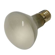 Picture of DPM Spare Bulb
