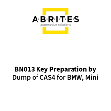 Picture of BN013 AVDI Key Preparation by Dump of CAS4 for BMW, Mini