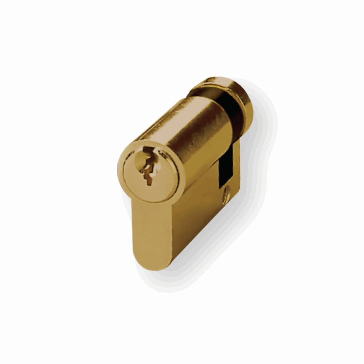 Esla NG 4 Euro Single 40mm Cylinder - Polished Brass